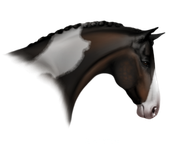 Untitled213-Restored4-20250113023739