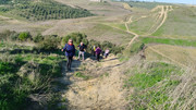 IMG-20260110-110713