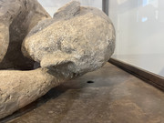 20230703 121638957 i OS