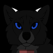 259849-Camp_Stories-C