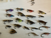 A7C0376B-4F13-4A1E-9C32-8F7942AC9561