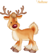 Christmas-in-Forest7