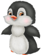 Christmas-in-Forest17