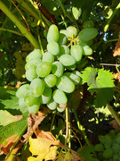 20190905-075921