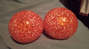 IMG-20250525-191752815-MP