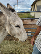 IMG_20250918_182952929_HDR