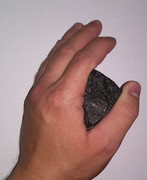 IMG_20190531_094829278~2