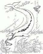 https://i.postimg.cc/mtnRLWBj/449375b3db565f42f1ad7a8bed15ed58.jpg