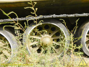 DSCN0503
