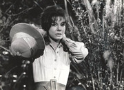 anne-heywood-b25