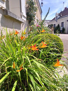 P-20210620-154720-v-HDR-On-p.jpg