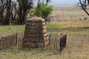 DSC-0095