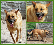 Be-Funky-collage-8.jpg&key=007d54210ac24