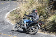 IMG-1397