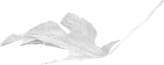 Leaf1