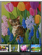 Screen Shot 2021-04-22 at 9.32.53 PM