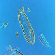 IMG-20260429-142330