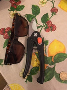 C8BC62FB-5002-487E-9D58-2820B9D7A5C0