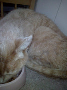 Злата в начале жизни у нас (2)