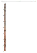 2882121-crosti-ru-color-23