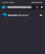 Screenshot_2024-01-11-14-10-59-827-edit_io.github.forkmaintainers.iceraven