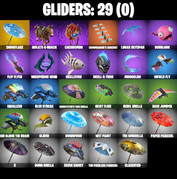 gliders-comp