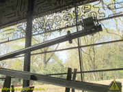 IMG-5822