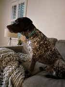 63452027774__7E8A4E67-B4E9-4632-8BED-7ABF1E84606C