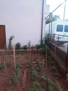 IMG_20200526_203349-01