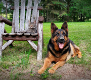 Resized-20210607-190649