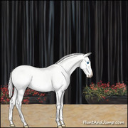 BBST Curtain Backdrop Black