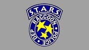 STARS-Logo-Gray-Version