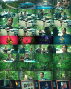 Wilderness - gallery 1