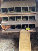 WhatsApp Image 2025-06-11 at 10.14.19_649e8b08