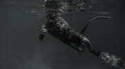 kontiki1