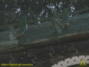 IMG-7213