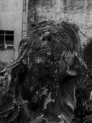 11.4.the cherub-rapture IV (b&w)