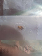 received_1034857628632072