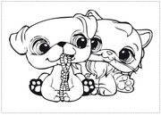 koshka-ighraiet-s-shchienkom