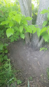 photo-2026-05-30-04-57-31