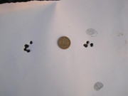 IMG_0058 - копия