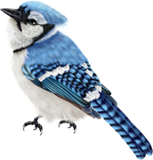 Daelmans-Designs-Dear-Santa-TS-PU-Element-09