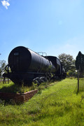 DSC-0111