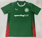 Palmeiras-25-26-I.jpg