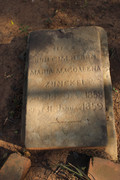 IMG-0336
