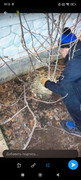 IMG-20250107-213248-849