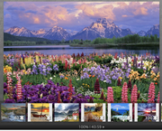 Screen Shot 2021-04-22 at 11.52.47 PM