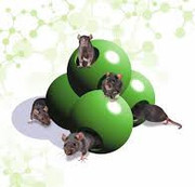 balls