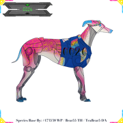 0026 - Dyani - #290069