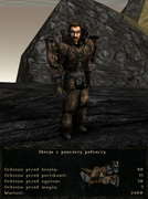 pancerze i ubrania (8)